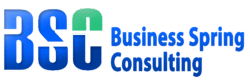 Business Spring Consulting